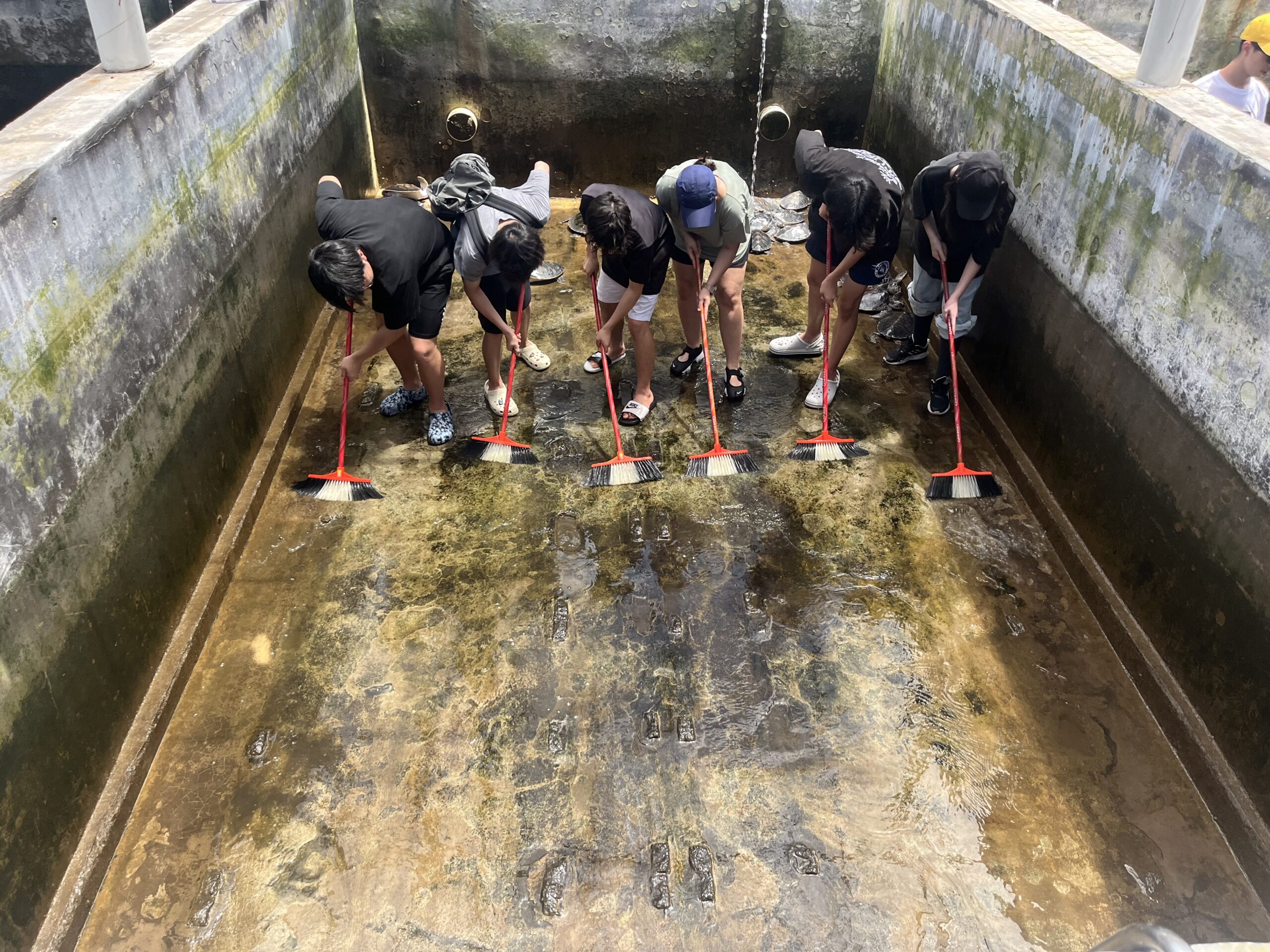 Students doing immersion program