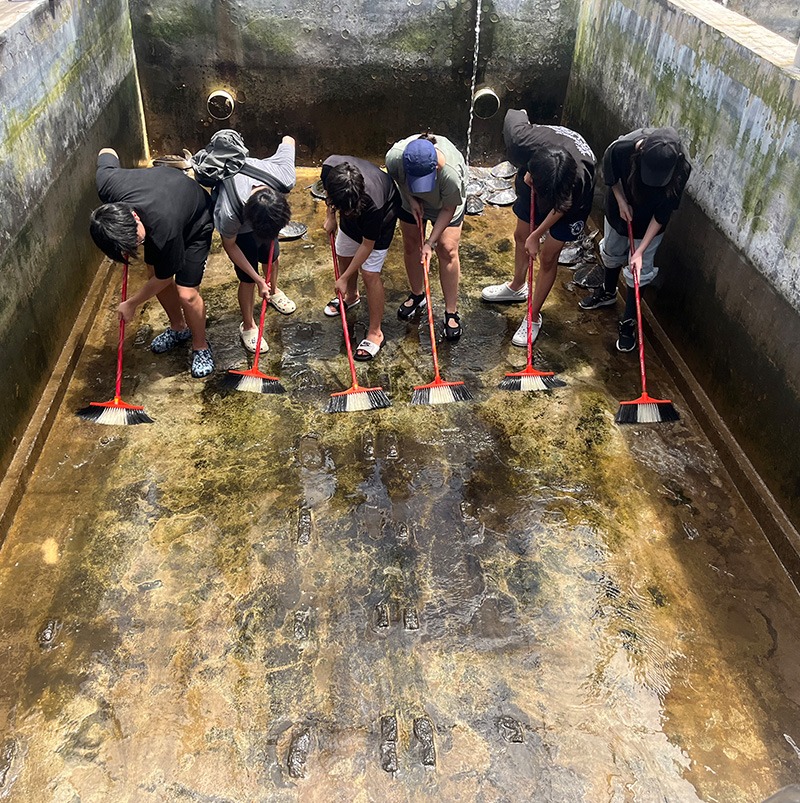 /wp-content/uploads/2025/04/Program-details-Huizhou-Marine-Life-Conservation-Photo-1-2.jpg