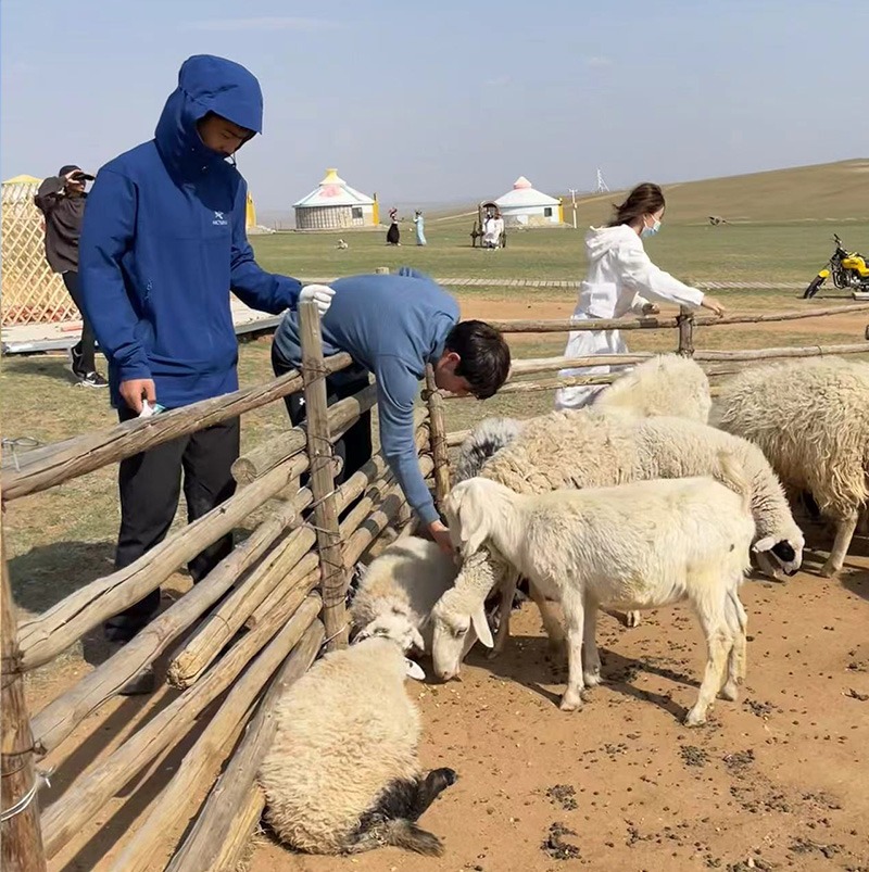 /wp-content/uploads/2025/04/Program-details-Inner-Mongolia-Life-on-the-Steppe-Photo-6.jpg