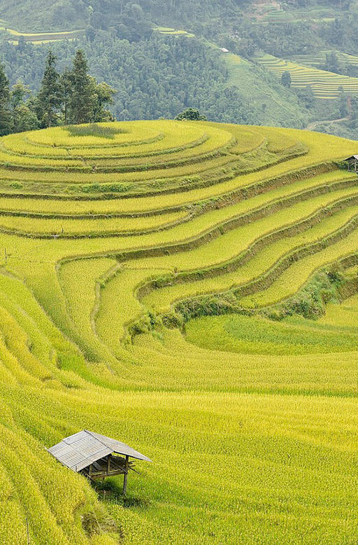 Longsheng- Community Immersion