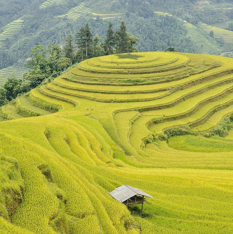 /wp-content/uploads/2025/04/Program-details-Longsheng-Community-Immersion-Photo-2-1.jpg
