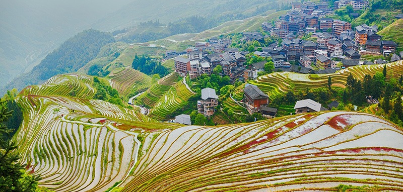 /wp-content/uploads/2025/04/Program-details-Longsheng-Community-Immersion-Photo-3-1.jpg