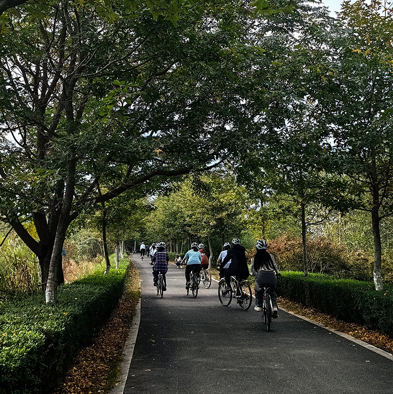 /wp-content/uploads/2025/04/Program-details-Songyang-Global-Citizenship-Retreat-Photo-1.jpg