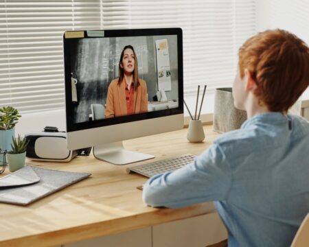 How to Facilitate Memorable Virtual Classes: Lessons from Running WildChina Education’s Virtual Experiences