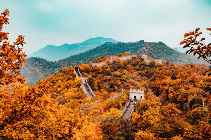 Educational tour highlighting China’s rich culture from Beijing to Shanghai