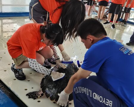 School Trips to China: Fostering Sustainability and Global Citizenship in the Wake of COP28