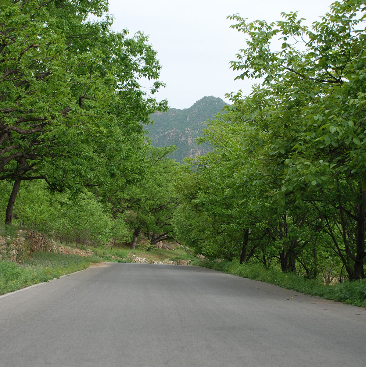 /wp-content/uploads/2025/05/Beijing-Cycling-DofE-Adventurous-Journey-2.jpg