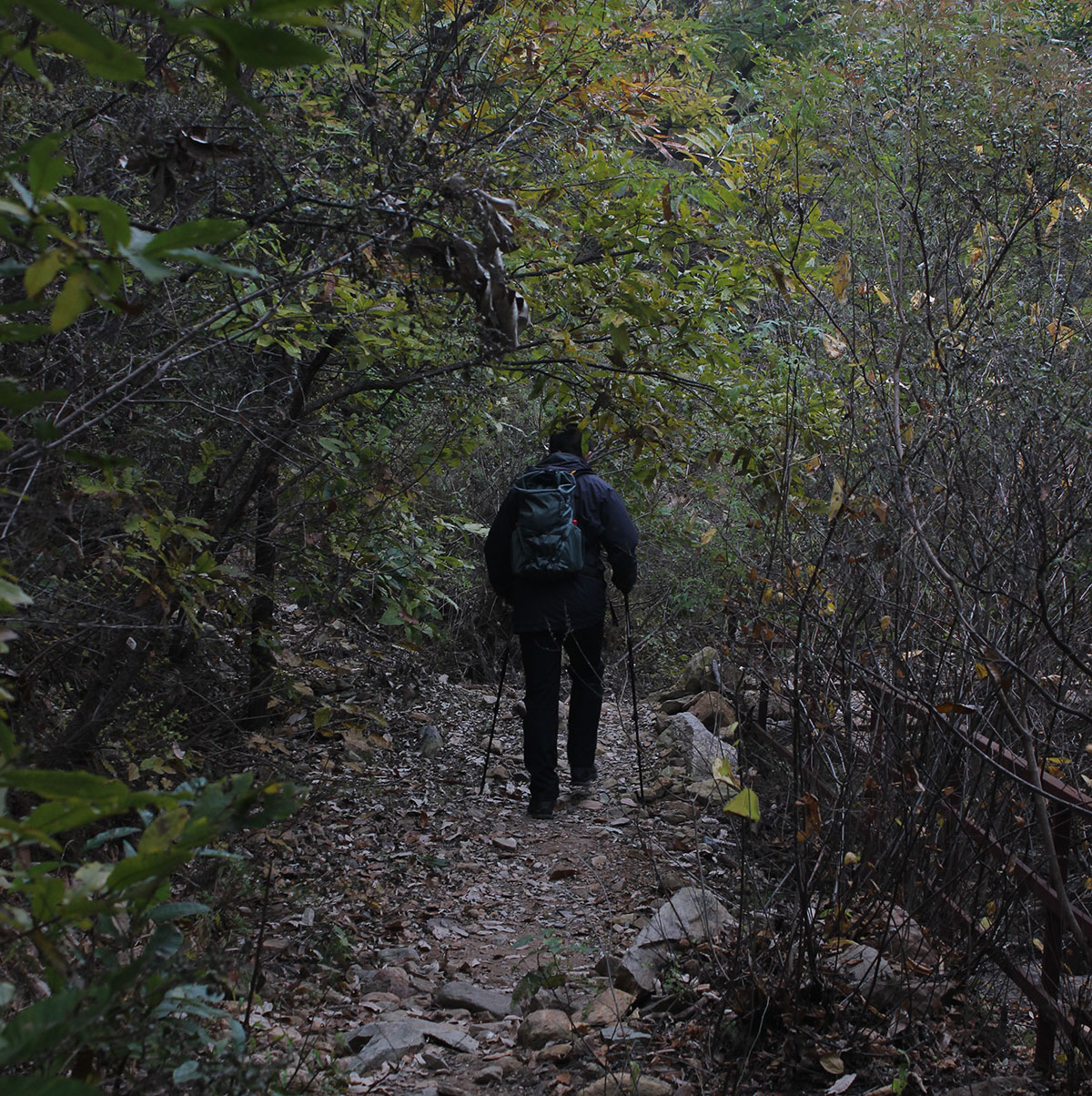 /wp-content/uploads/2025/05/Beijing-Hiking-DofE-Adventurous-Journey-1jpg.jpg
