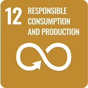 Responsible Consumption and Production