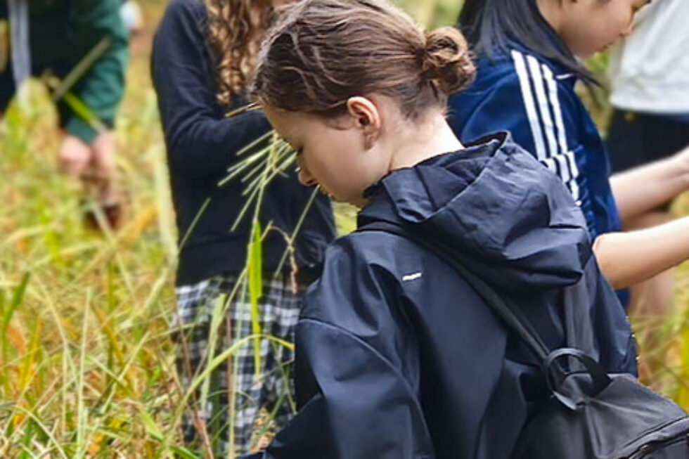 Guizhou - CGCS Diploma in International Volunteering