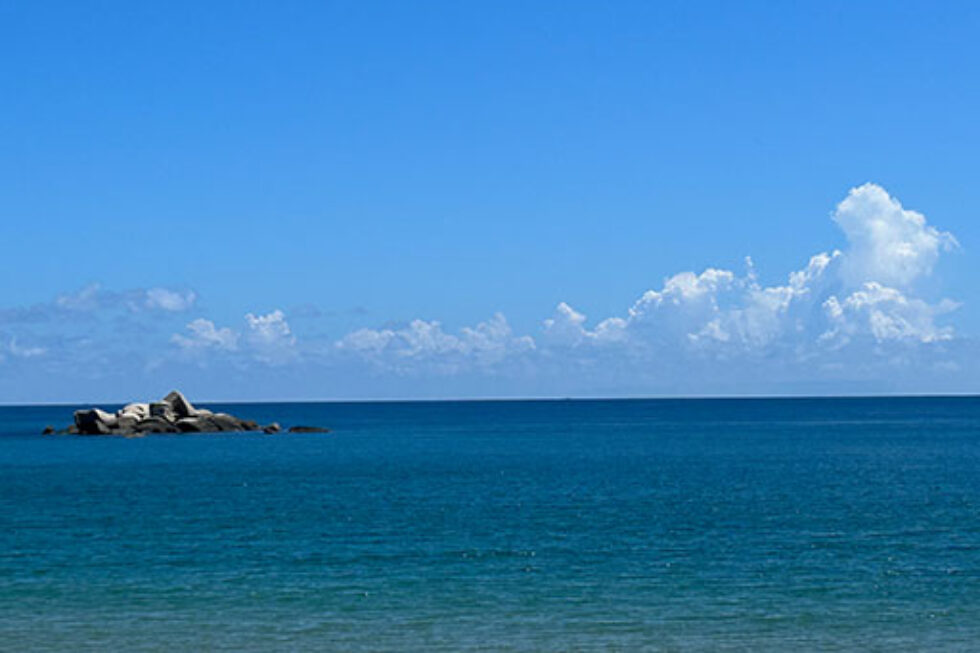 Hainan - Island Conservation