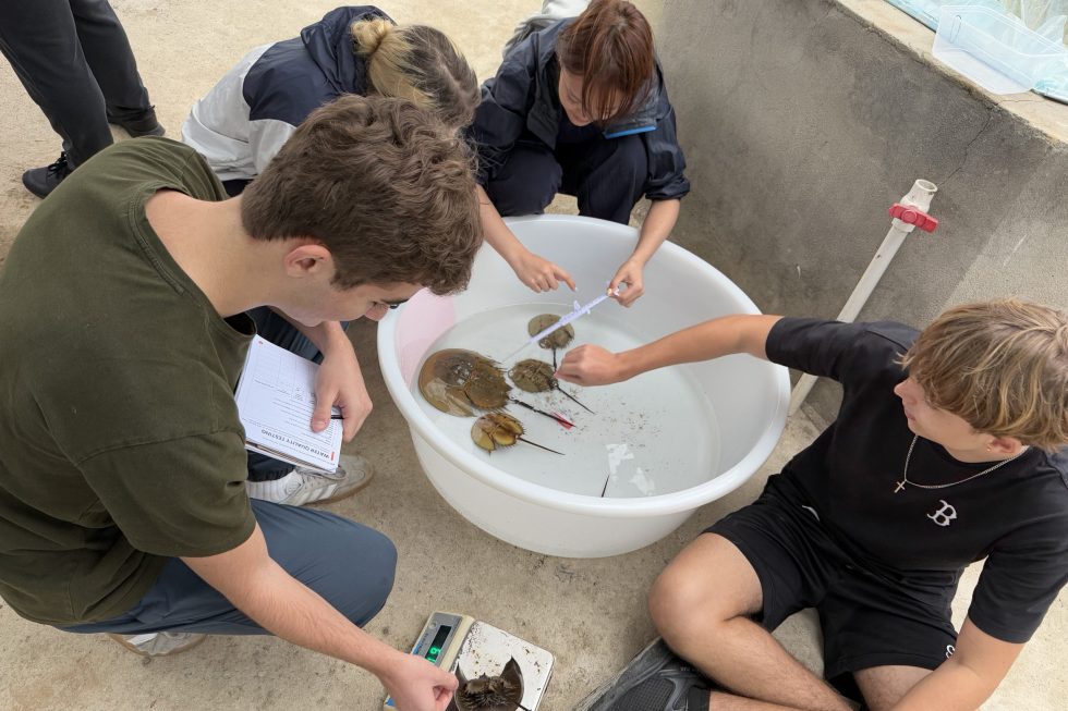 Luoyuan & Pingtan- Crabs, Culture, and Conservation