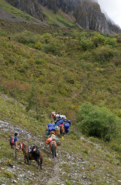 Lijiang & Shaxi- Journeys of the Tea Horse Road