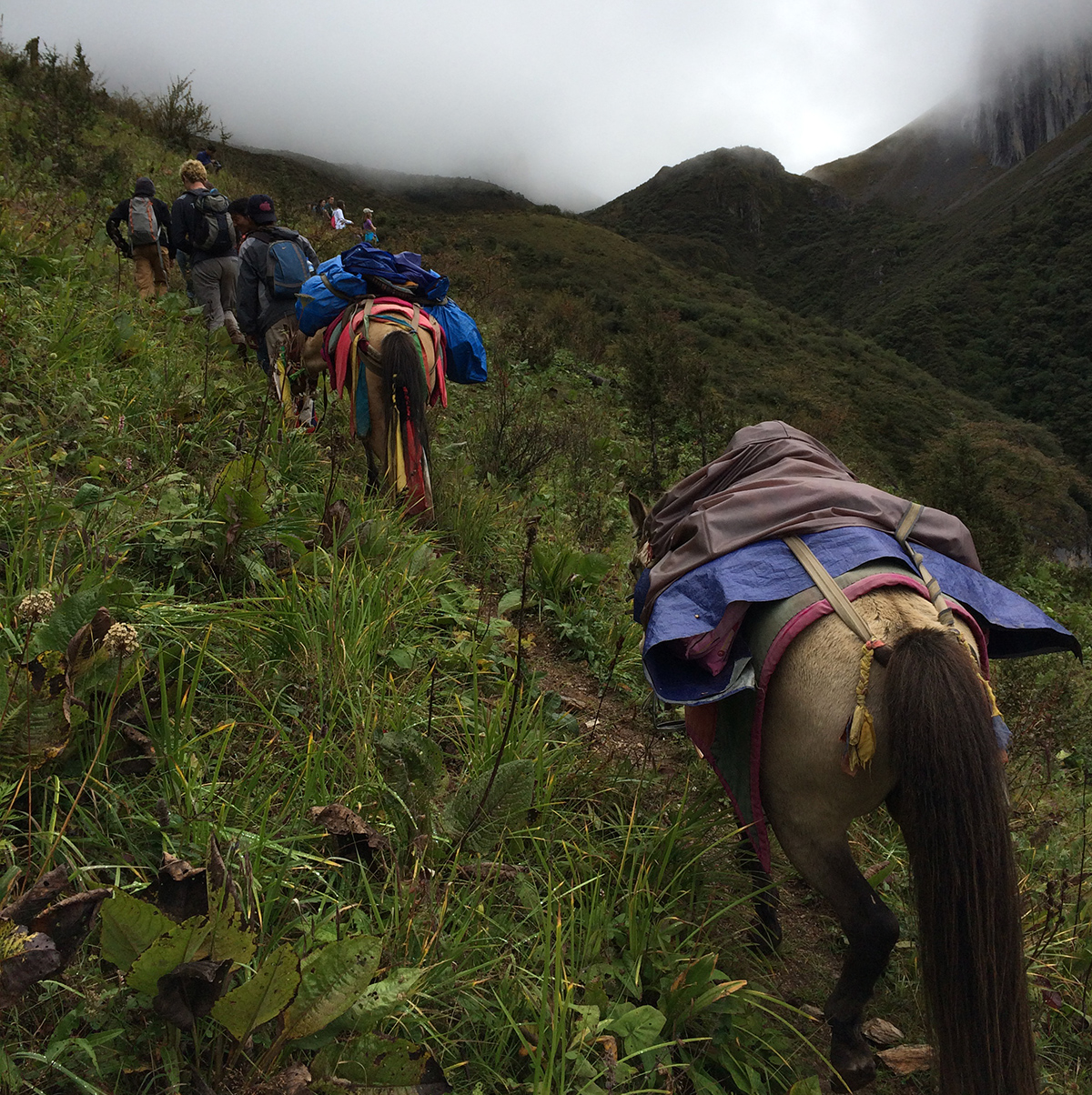 /wp-content/uploads/2025/05/Lijiang-Shanxi-Journeys-of-the-Tea-Horse-Road1.jpg
