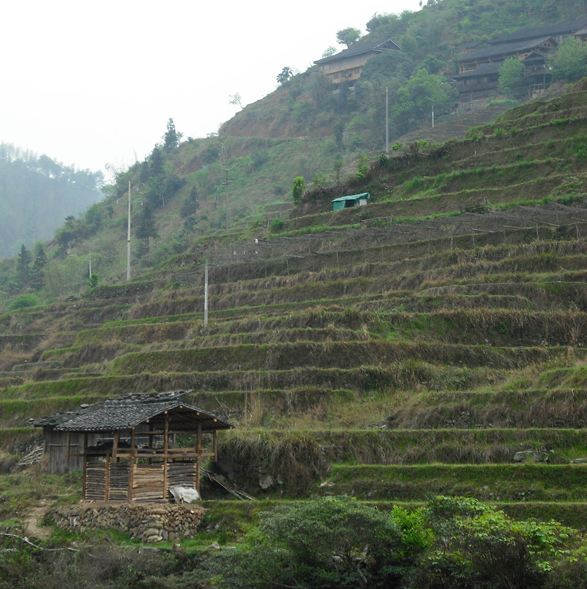 /wp-content/uploads/2025/05/Longsheng-Hiking-DofE-Adventurous-Journey-2.jpg