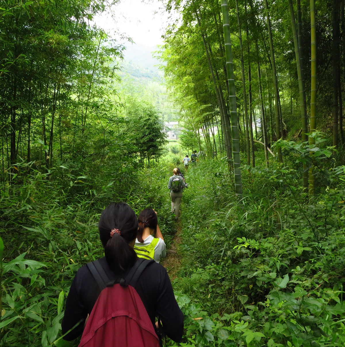/wp-content/uploads/2025/05/Moganshan-Hiking-DofE-Adventurous-Journey-1.jpg