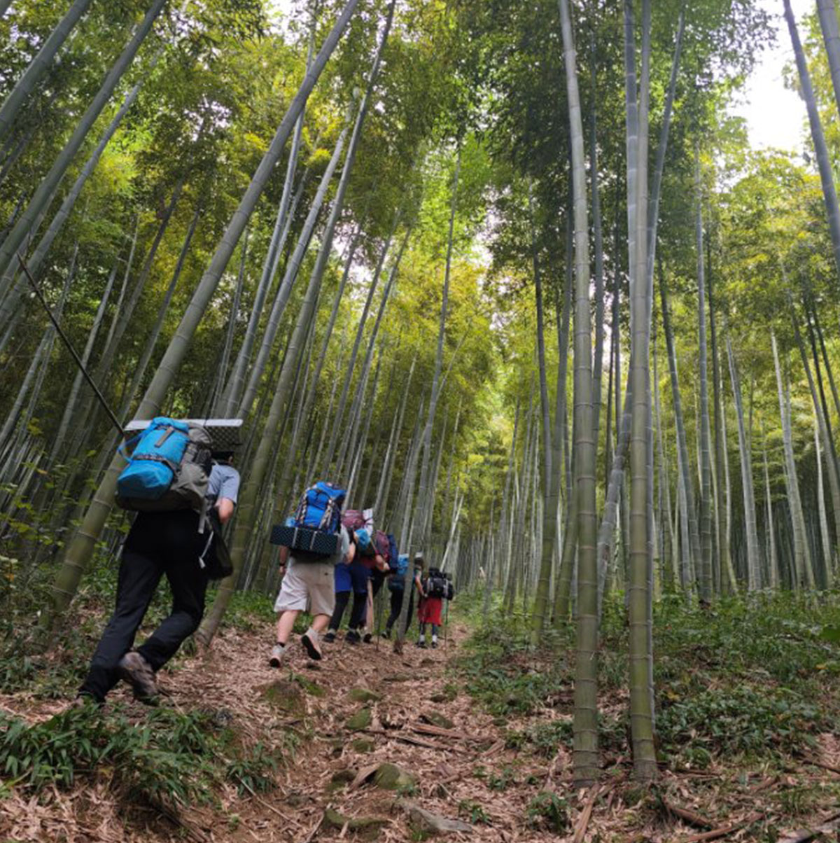 /wp-content/uploads/2025/05/Moganshan-Hiking-DofE-Adventurous-Journey-2.jpg