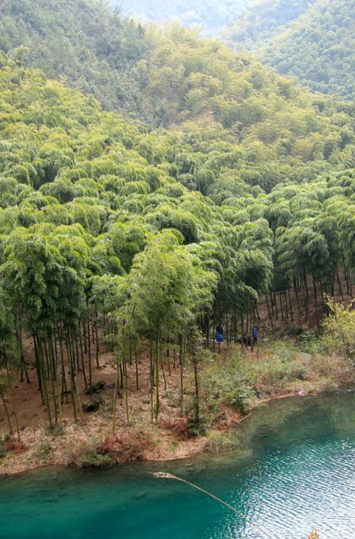 Adventurous Journey in Moganshan