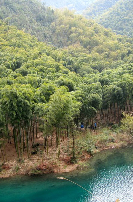 Adventurous Journey in Moganshan