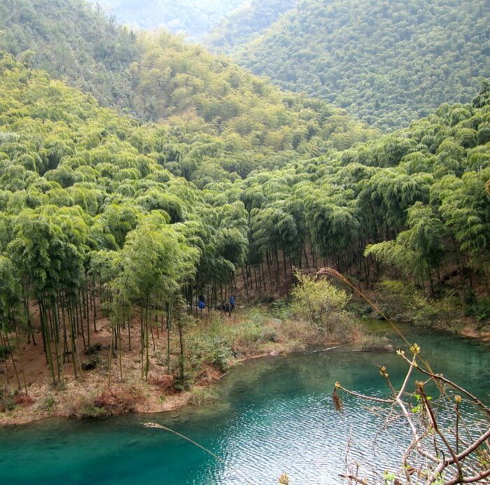 /wp-content/uploads/2025/05/Program-Details-Moganshan-Hiking-DofE-Adventurous-Journey-Header-Photo-e1747383549730.jpeg
