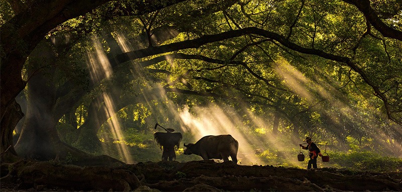 /wp-content/uploads/2025/05/Program-Details-Zhangzhou-Sustainable-Farming-and-Food-Security-Photo-1.jpg