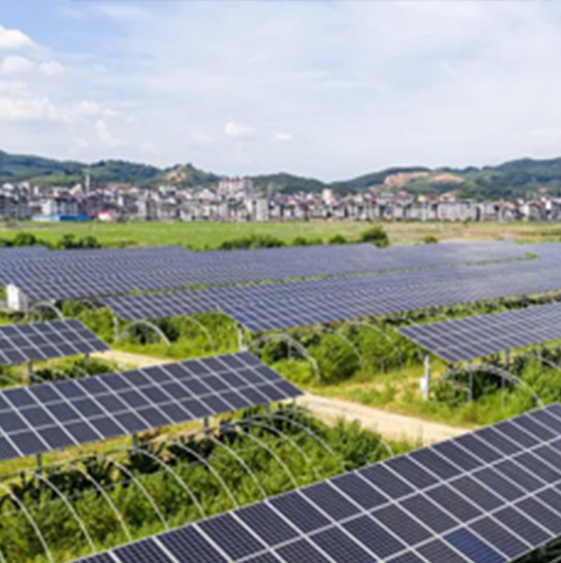/wp-content/uploads/2025/05/Program-Details-Zhangzhou-Sustainable-Farming-and-Food-Security-Photo-4.jpg