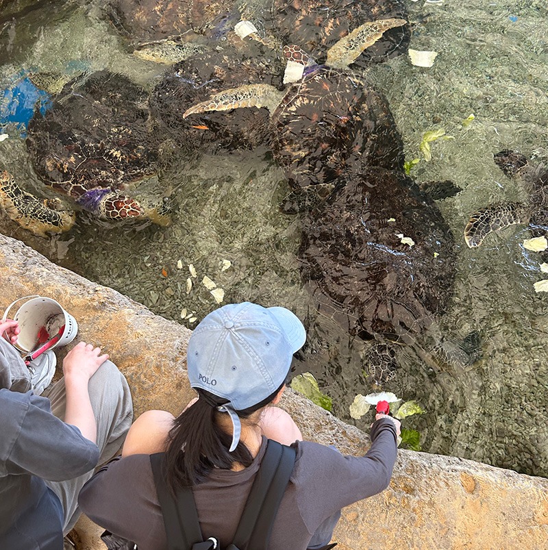 /wp-content/uploads/2025/05/Program-details-Hainan-Island-Conservation-Photo-1.jpg