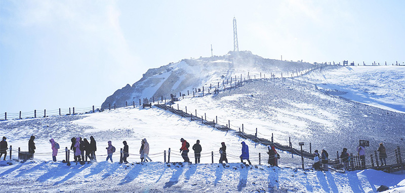 /wp-content/uploads/2025/05/Program-details-Harbin-A-Journey-Through-Ice-and-Culture-Photo-1.jpg