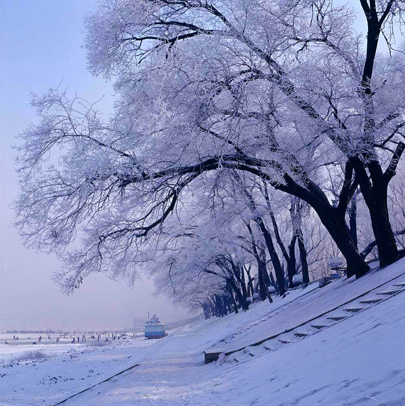 /wp-content/uploads/2025/05/Program-details-Harbin-A-Journey-Through-Ice-and-Culture-Photo-2.jpg