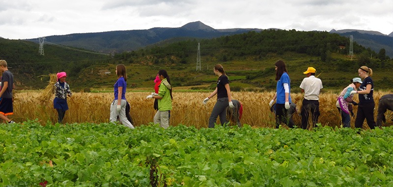 /wp-content/uploads/2025/05/Program-details-Lijiang-Shanxi-Journeys-of-the-Tea-Horse-Road-Photo-1.jpg