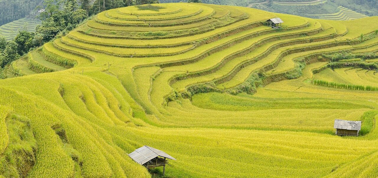 /wp-content/uploads/2025/05/Program-details-Longsheng-Community-Immersion-Photo-2-e1747382515500.jpg
