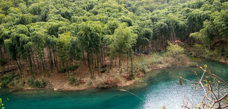 /wp-content/uploads/2025/05/Program-details-Moganshan-Wilderness-Survival-Photo-2.jpg