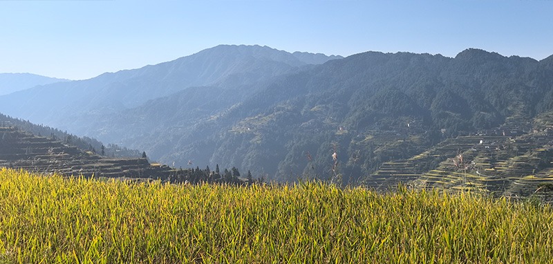 /wp-content/uploads/2025/05/Program-details-Rongjiang-Community-Immersion-Photo-2.jpg