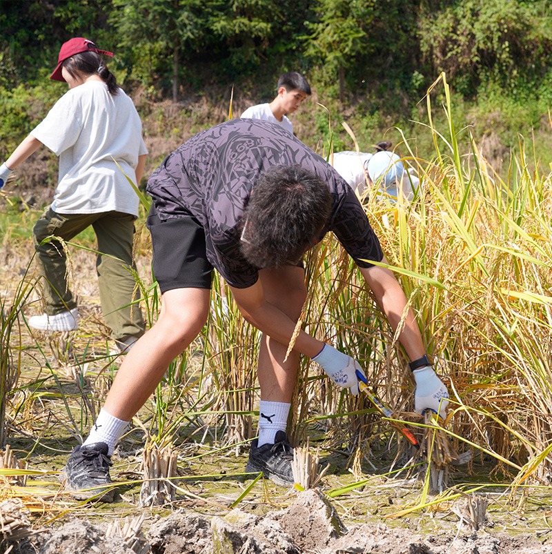 /wp-content/uploads/2025/05/Program-details-Rongjiang-Community-Immersion-Photo-5.jpg
