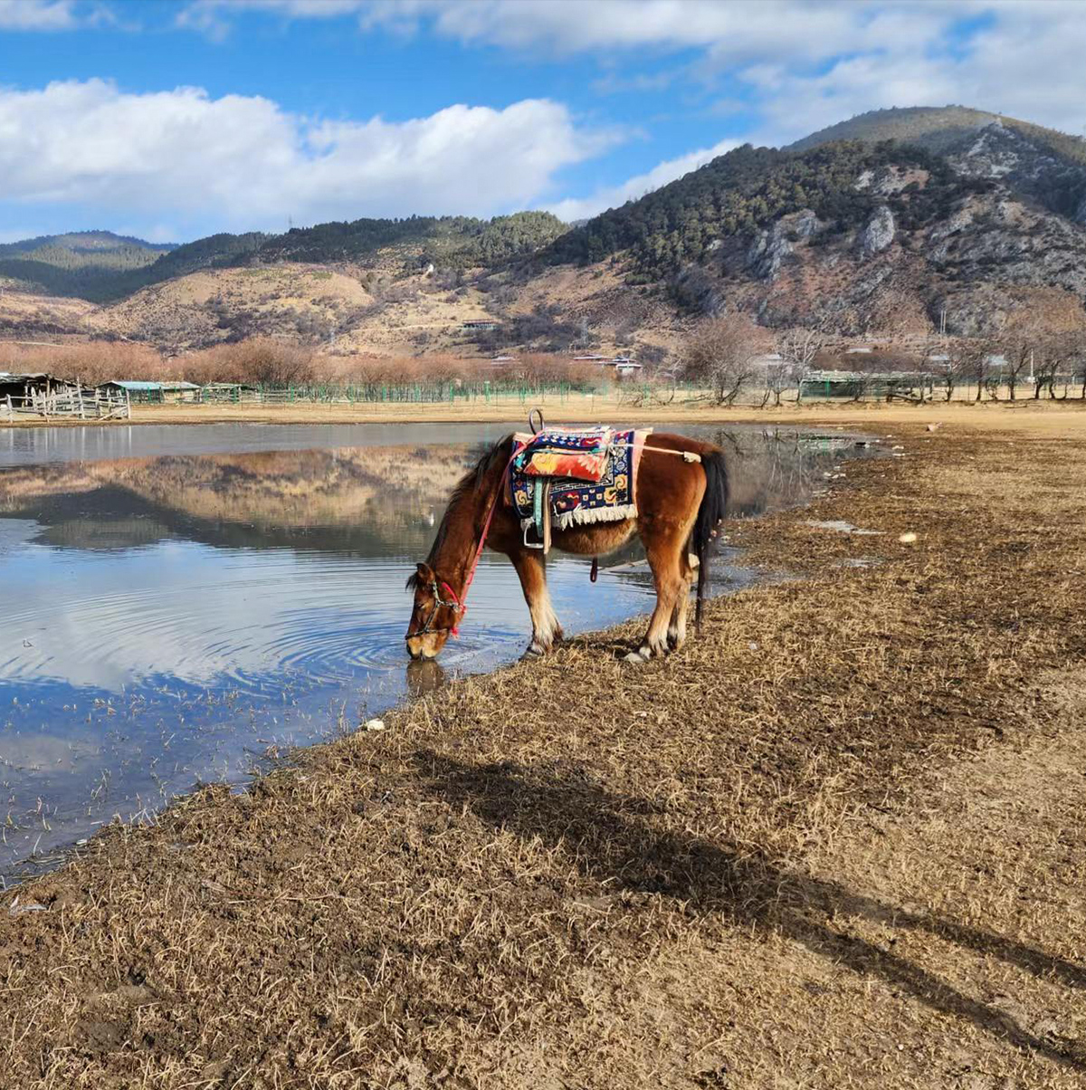 /wp-content/uploads/2025/05/Shangri-La-Tacheng-Harmony-in-the-Highlands2.jpg