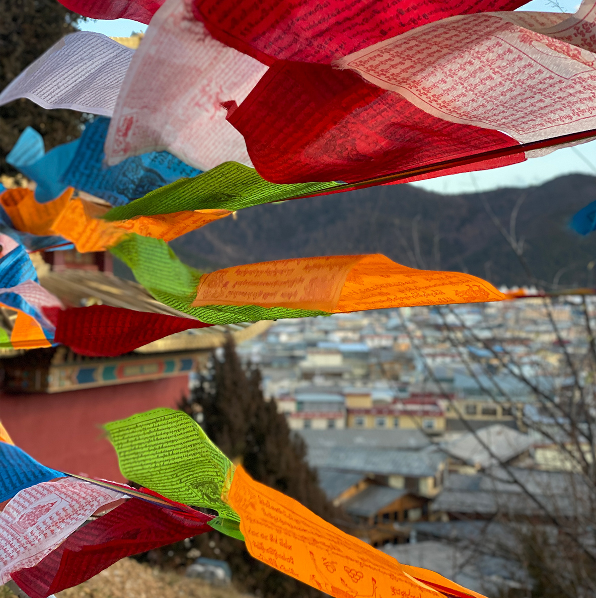 /wp-content/uploads/2025/05/Shangri-La-Tacheng-Harmony-in-the-Highlands5.jpg