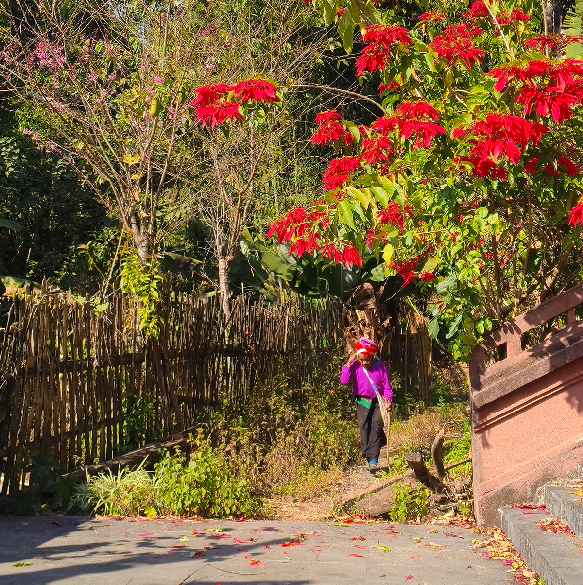 /wp-content/uploads/2025/05/Xishuangbanna-Traditions-of-the-Rainforest1.jpg