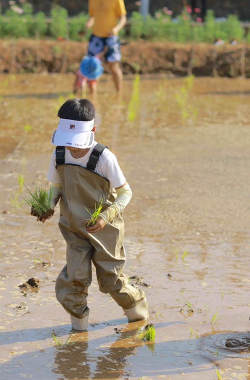 Zhangzhou- Sustainable Farming and Food Security