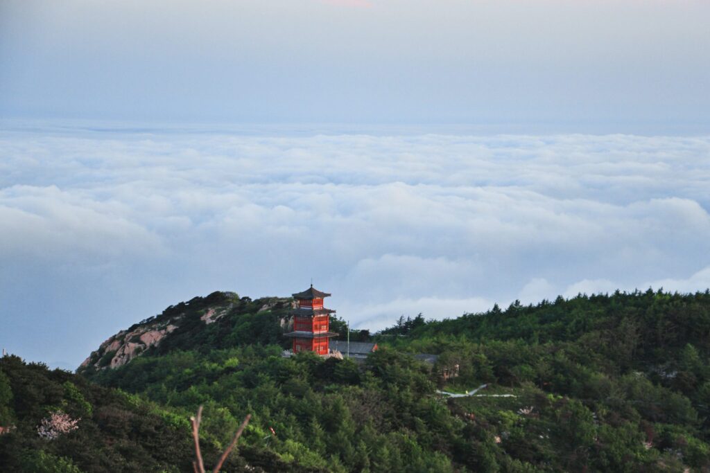 WildChina guide leading school students through cultural and service activities at Mount Tai, integrating experiential learning and sustainability
