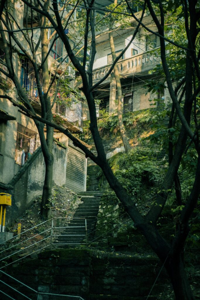 Hands-on geology and ecology fieldwork for students in Chongqing STEAM program
