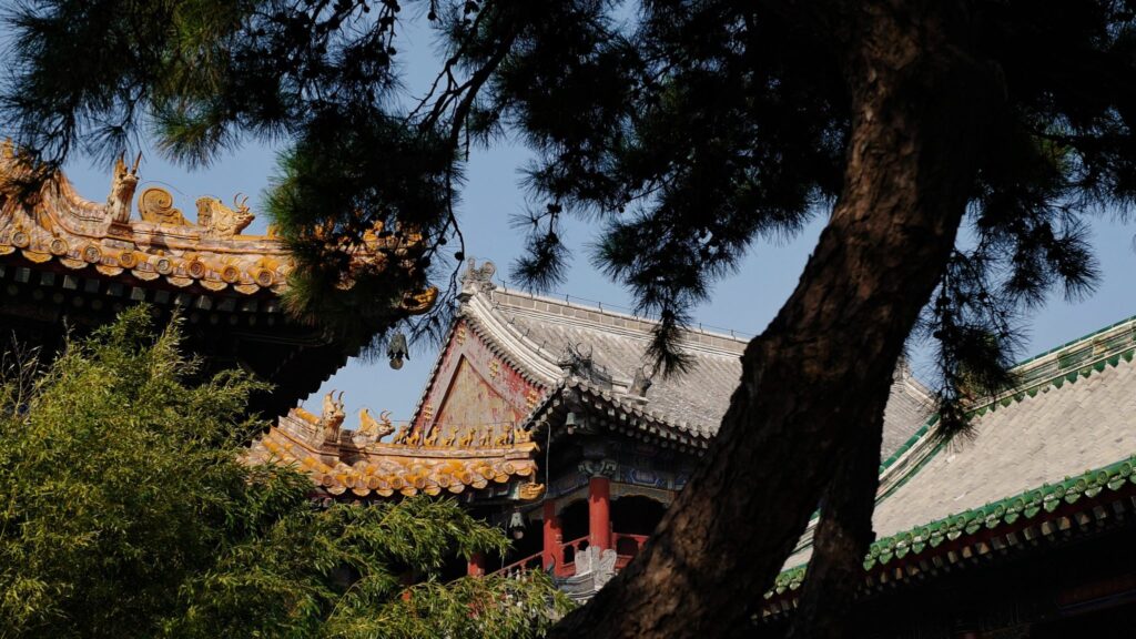 Students visiting historical sites in China to learn about the country's rich heritage and ancient civilizations during an educational tour