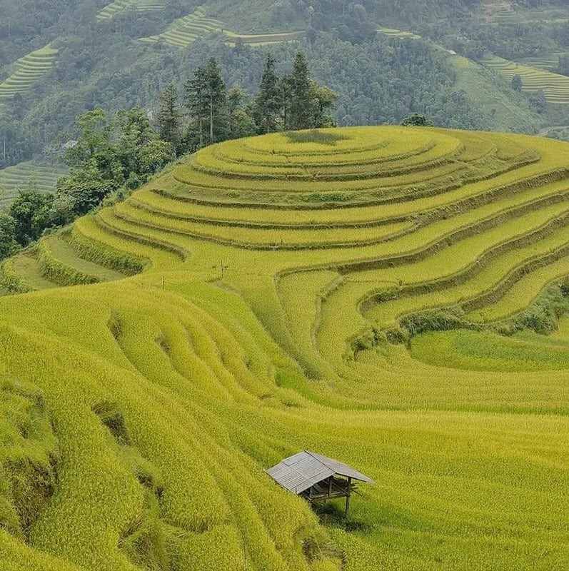 Community Immersion in Longsheng