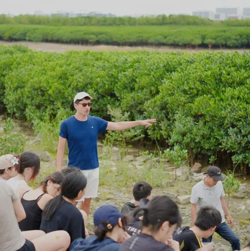 Mangrove Protection in Xiamen