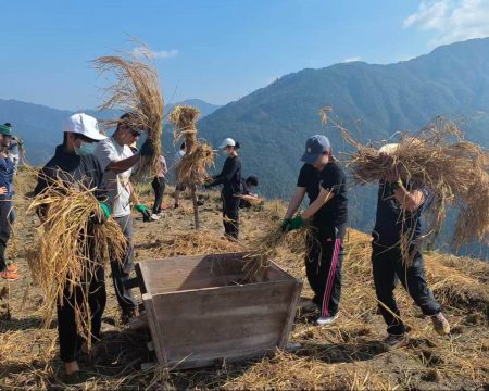 5 Educational Activities Students Can Experience in Rural China
