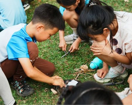 What Outdoor Learning Looks Like at Every Level